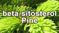 beta-sitosterol from pine